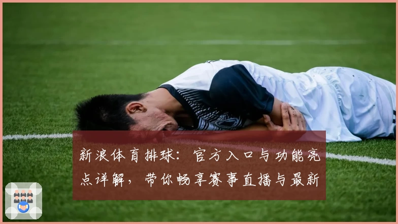 新浪体育排球：官方入口与功能亮点详解，带你畅享赛事直播与最新资讯