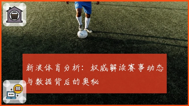 新浪体育分析：权威解读赛事动态与数据背后的奥秘