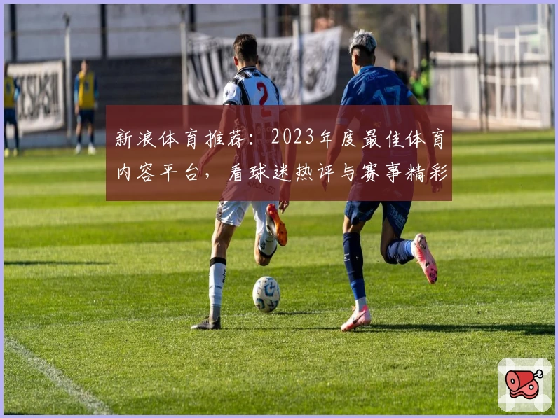 新浪体育推荐：2023年度最佳体育内容平台，看球迷热评与赛事精彩瞬间新体验