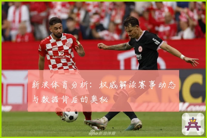 新浪体育分析：权威解读赛事动态与数据背后的奥秘