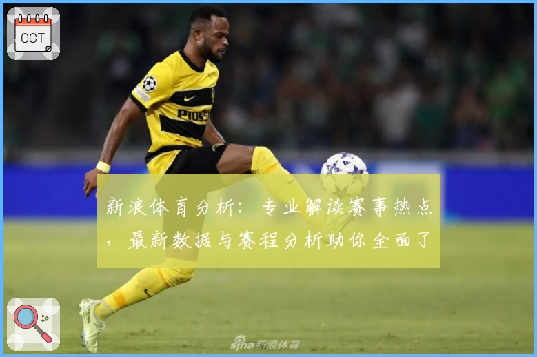 新浪体育分析：专业解读赛事热点，最新数据与赛程分析助你全面了解体育世界
