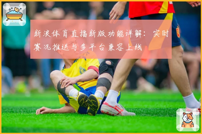 新浪体育直播新版功能详解：实时赛况推送与多平台兼容上线