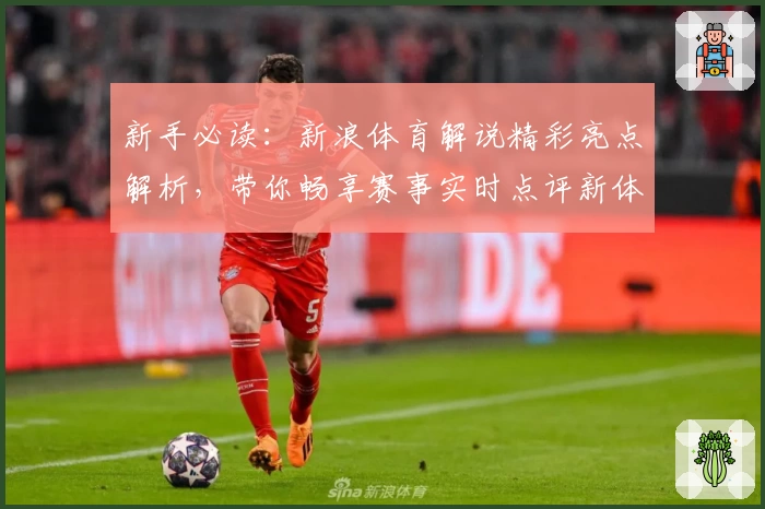 新手必读：新浪体育解说精彩亮点解析，带你畅享赛事实时点评新体验