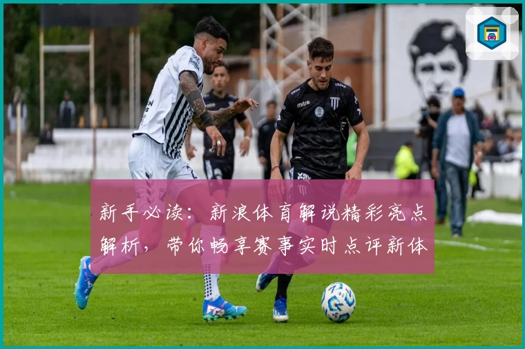 新手必读：新浪体育解说精彩亮点解析，带你畅享赛事实时点评新体验