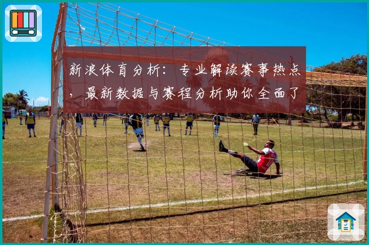 新浪体育分析：专业解读赛事热点，最新数据与赛程分析助你全面了解体育世界