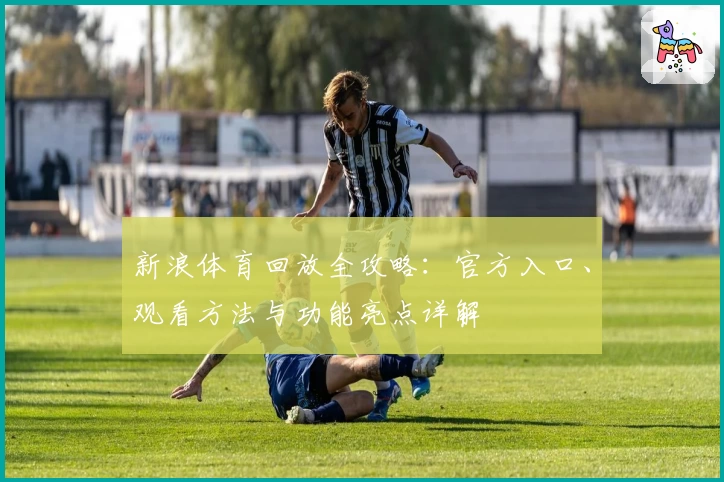 新浪体育回放全攻略：官方入口、观看方法与功能亮点详解