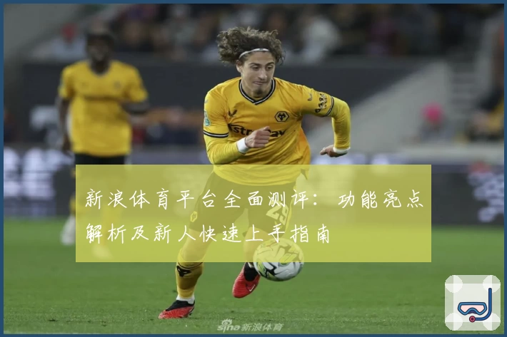 新浪体育平台全面测评：功能亮点解析及新人快速上手指南