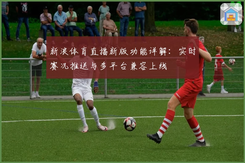 新浪体育直播新版功能详解：实时赛况推送与多平台兼容上线