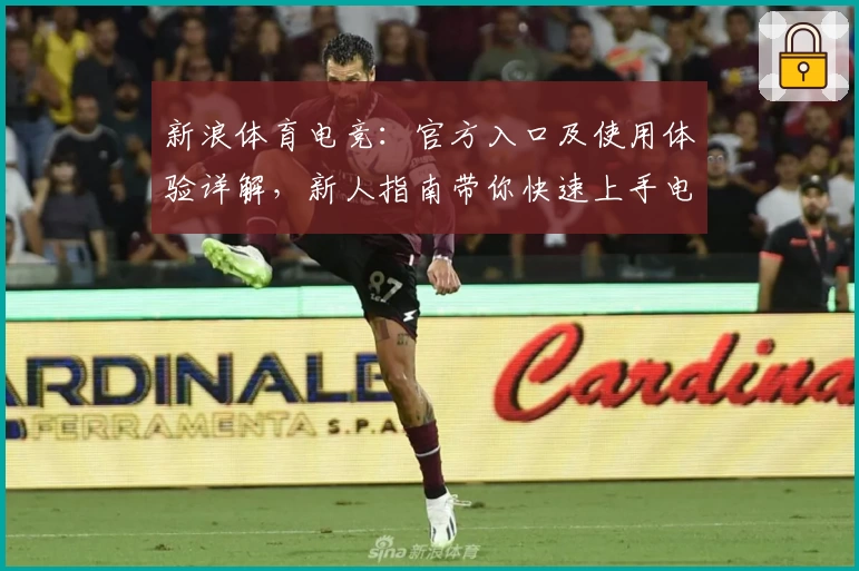 新浪体育电竞：官方入口及使用体验详解，新人指南带你快速上手电竞世界